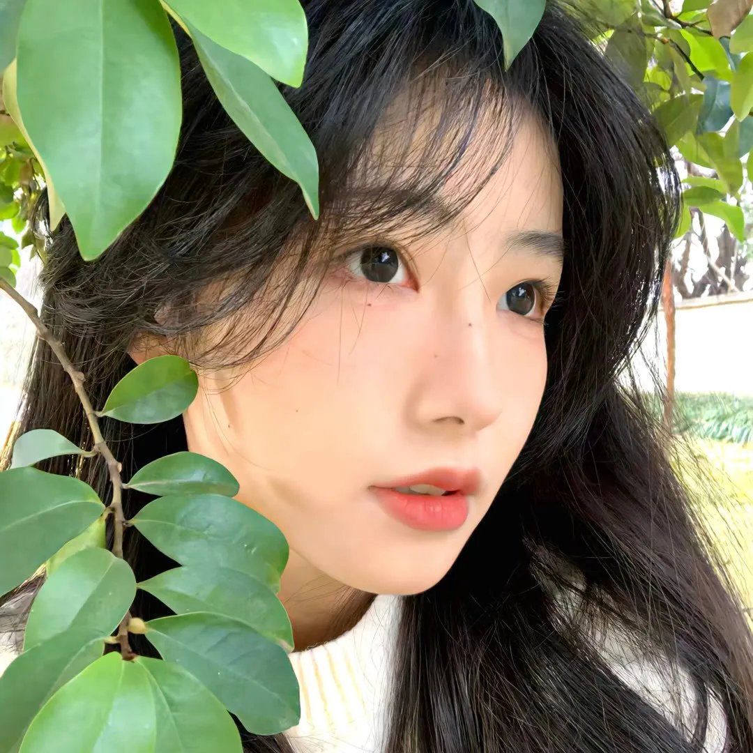 来自月亮的我